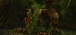 Elder Wyrm-large