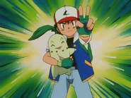 EP128 captura de chikorita