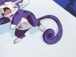 EP014 Ratatta herido