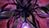 Black Hole