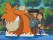 EP362 Camerupt