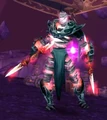 Warp-Raider Nesaad.jpg