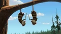 Crash-and-Eddie-acrobats.jpg