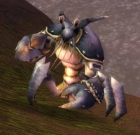 Image of Muckshell Clacker