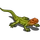 Caiman Lizard