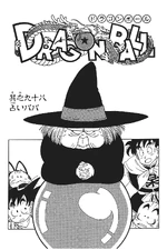 The All-Seeing Crone