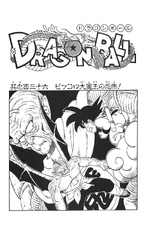 Target Tenka'ichi Budokai