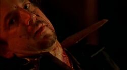 Weasel Dead