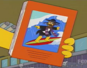 SurfingRabbi