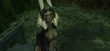 Fran opens path