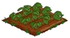 Super Berries 33.png