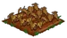 Super Berries withered