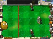 Wallnut2