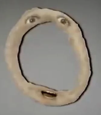 Onion Ring