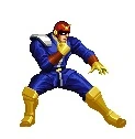 Cfalcon