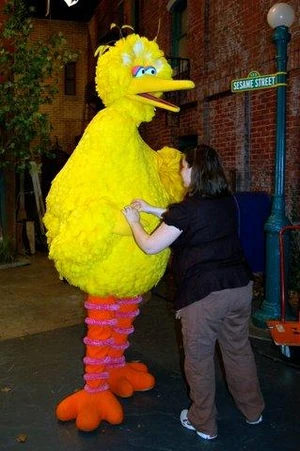 Wrangler big bird