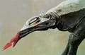 Bolttongue