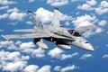 F-18 hornet 01.jpg