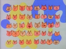 40pigs