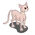 Sphynx-icon