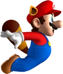RaccoonMarioSMWWii