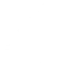 HRVArmsCo