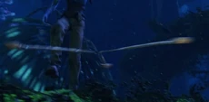 Bolas