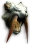 Bariothhead