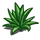 Agave-icon