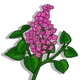 Lilac-icon