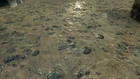 Barnacles LC real2