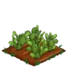 Nopales 100