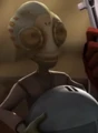 YounglingA.jpg