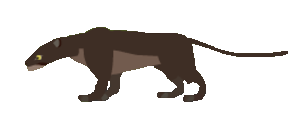 Dark Leopard.png
