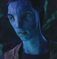 Norm avatar.jpg