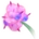Flower Sokiute