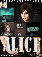 Alice alice alice