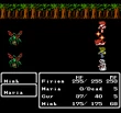 FFII NES Life