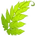 Fern Leaf