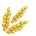 Seed WheatSeed