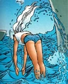 Dolphin Created Equal 02