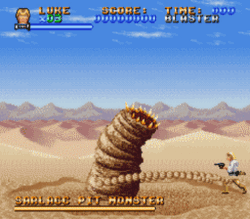 SSW Dune Sea
