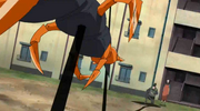 Kurenaivspainfolge158