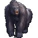 Item silverbackgorilla 01