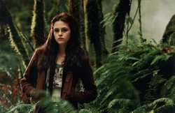 Bella-in-woods