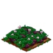 Sweet Yams withered