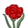 Red Carnation