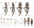 Skeleton concept.jpg