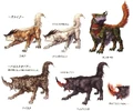Ffxii wolf genus.jpg