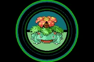PokRojFue(Venusaur) 03